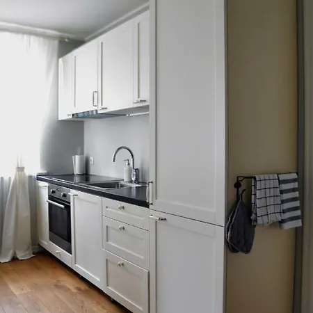 Apartment Suur-sepa Parnu